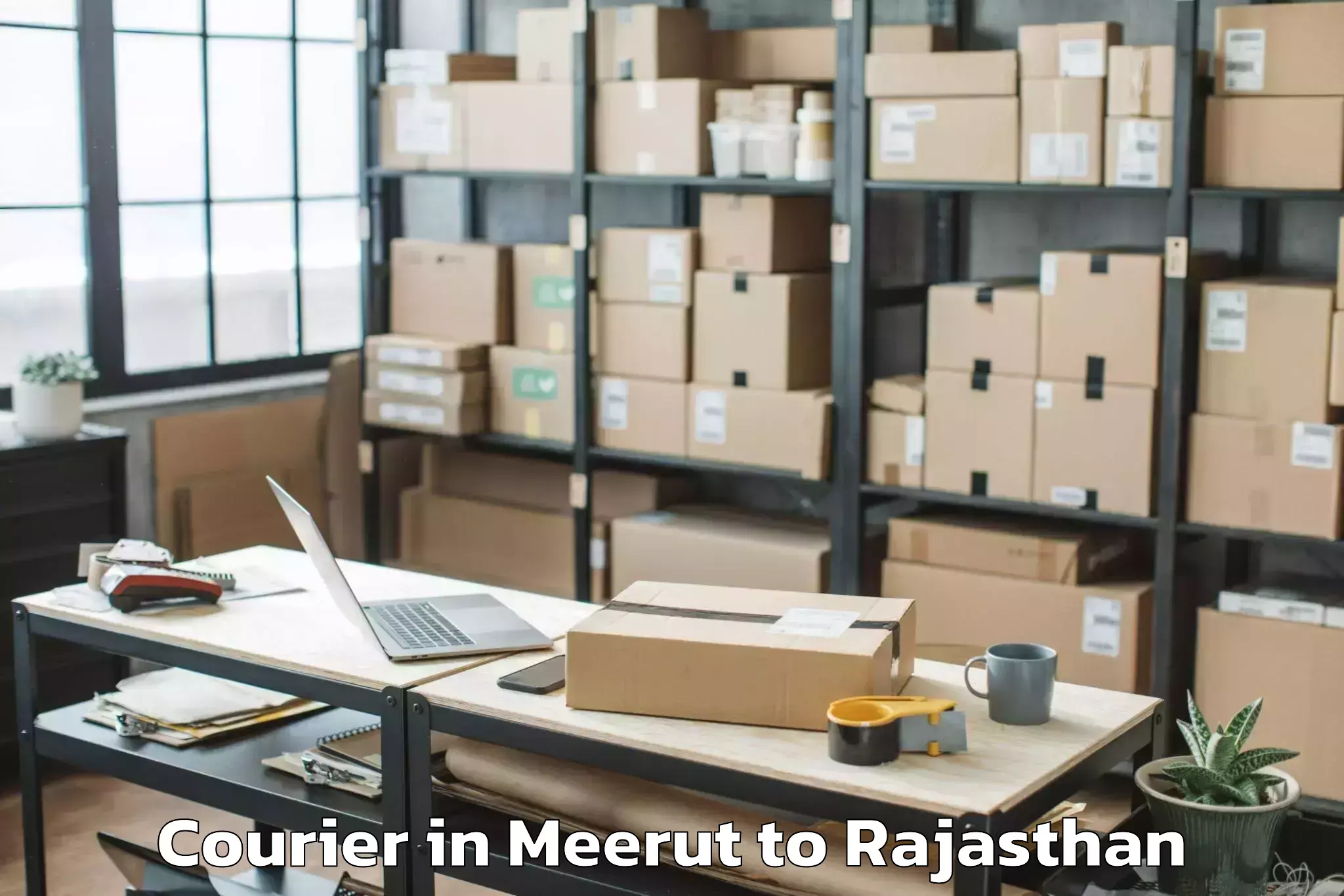 Professional Meerut to Civil Airport Raj Courier